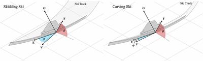 Alpine Ski Motion Characteristics in Slalom